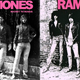 Image for article titled Players Are Recreating Famous Album Covers In Fallout 76